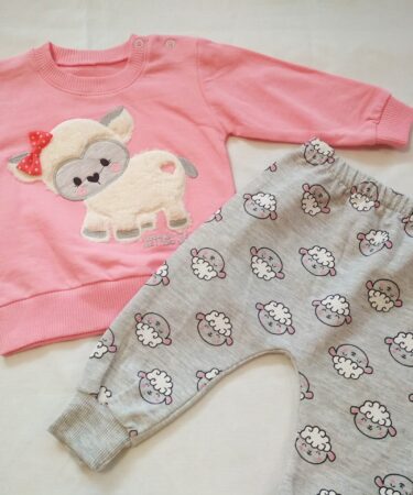 Комплект за бебе момиче 2 части в розово и сиво